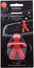 Zdjęcie Mr&Mrs Fragrance Cesare Pepper Mint Zapach Samochodowy 1Szt - Brzozów