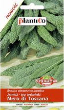 Zdjęcie Plantico Jarmuż Toskański - Mosina