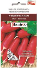 Zdjęcie Plantico Rzodkiewka Opolanka Otoczkowana - Ostroróg