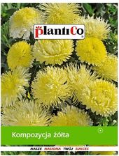 Zdjęcie Plantico Kompozycja Żółta - Ząbkowice Śląskie