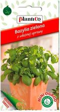 Zdjęcie Plantico Bazylia Zielona Mini Ogród - Lębork