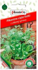 Zdjęcie Plantico Pikantne Cięte Listki Mini Ogród Mix - Gdańsk