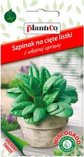 Zdjęcie Plantico Szpinak Mini Ogród - Środa Śląska