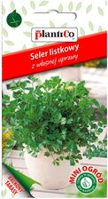 Zdjęcie Plantico Seler Listkowy Mini Ogród - Mosina