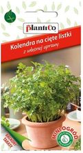 Zdjęcie Plantico Kolendra Na Cięte Listki Mini Ogród - Wąchock
