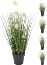 Zdjęcie Obi Trawa Kwitnąca Mix 46Cm - Rzeszów