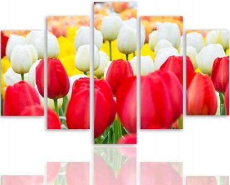 Obraz 5 Częściowy Wzór Tulipany Na Ścianę 100x70