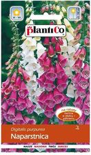Zdjęcie Plantico Naparstnica Purpurowa Mix - Mosina