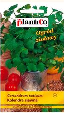 Zdjęcie Plantico Kolendra Siewna - Mosina
