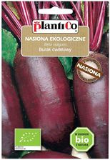 Zdjęcie Plantico Burak Podłużny Bio - Ostrów Lubelski