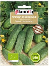 Zdjęcie Plantico Ogórek Gruntowy Bio - Dobra
