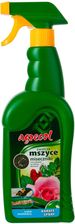 Zdjęcie Agrecol Karate Spray Na Mszyce 500Ml - Wolsztyn