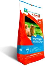 Zdjęcie Obi Global Grass Mieszanka Traw Camel 5kg - Brwinów