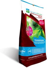 Zdjęcie Obi Global Grass Mieszanka Traw Multirenowator 4W1 5kg - Krośniewice