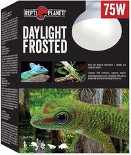 Repti Planet Żarówka Daylight Frosted 75W - Ogrzewanie i oświetlenie terrarium