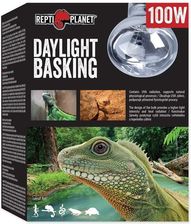Repti Planet Żarówka Daylight Basking Spot 100W - Ogrzewanie i oświetlenie terrarium