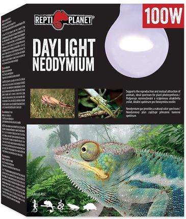 Repti Planet Żarówka Daylight Neodymium 100W