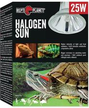 Repti Planet Żarówka Halogen Sun 25W - Ogrzewanie i oświetlenie terrarium