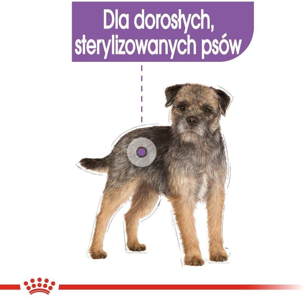  CANIN STERILISED 85g 45パック Royal Canin Sterilized in jelly 85g | RajenPets.cz