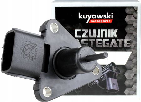 COPERNI COPBA01F6032BRW 関税送料込 Coperni コペルニ