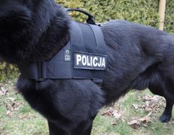 Zdjęcie K9 Thorn Szelki Dla Psa Bravo Czarne (0058/16 Blk) - Poznań
