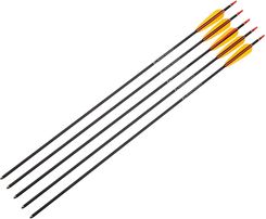 Zdjęcie Poe Lang Strzały Aluminiowe 30 Czarne 5szt (D-028Ba-1) - Reda