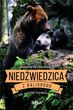 Niedźwiedzica z Baligrodu i inne historie K. Nóżki - Marcin Szumowski