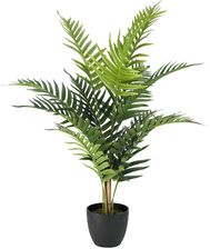 Zdjęcie Jysk Roślina Sztuczna Sander W70Cm Z Don. - Tychy