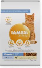 Karma dla kota IAMS for Vitality Dental Adult/Senior Fresh Chicken 10kg - zdjęcie 1