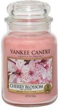 Zdjęcie Yankee Candle Cherry Blossom 623g - Miłosław