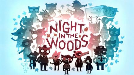 switch night in the woods