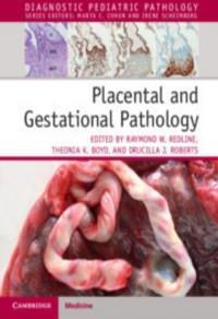 Placental and Gestational Pathology Hardback with Online Resource(Mixed media product)