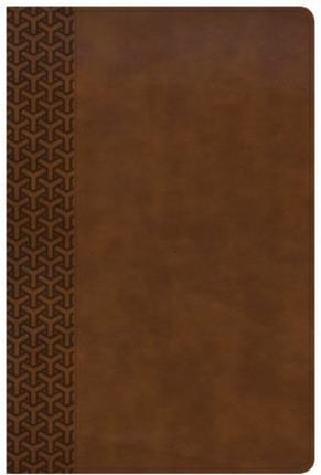 KJV Everyday Study Bible, British Tan Leathertouch (Csb Bibles by Holman)