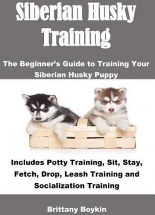 Siberian Husky Training (Boykin Brittany)