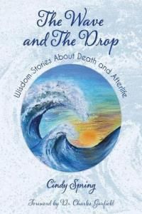 The Wave and the Drop (Spring Cindy)