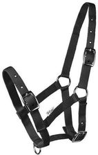 Zdjęcie KANTAR START NA ŹREBIĘ - czarny - Krzepice