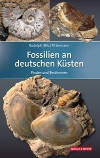 Fossilien an deutschen Ksten (Pittermann Dirk)(niemiecki)