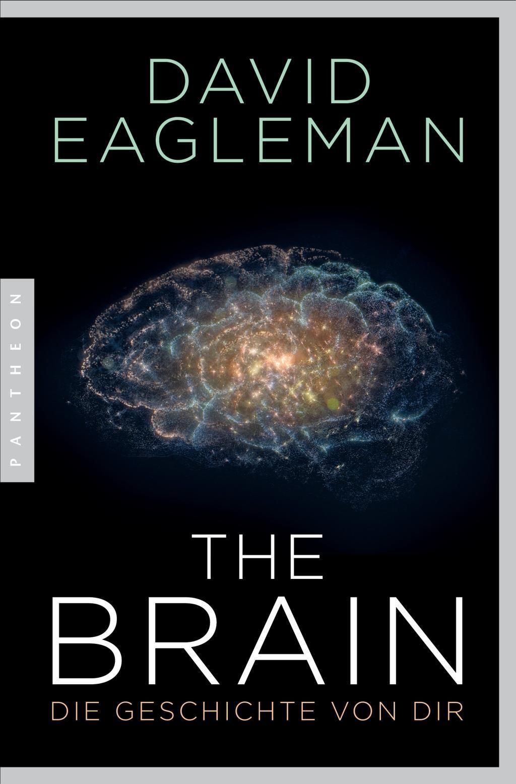 The Brain Eagleman Davidniemiecki Literatura Obcojęzyczna Ceny I Opinie Ceneopl 6130