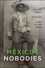 Literatura obcojęzyczna Mexico's Nobodies (Arce B. Christine) - zdjęcie 1