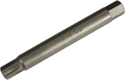 Bgs Technic Bit 10mm (3/8