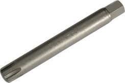 Bgs Technic Bit 10mm (3/8