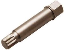 Bgs Technic Bit Do Alternatora M10 B.4248-3