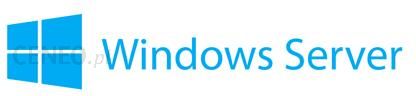 windows server essentials 2019 download