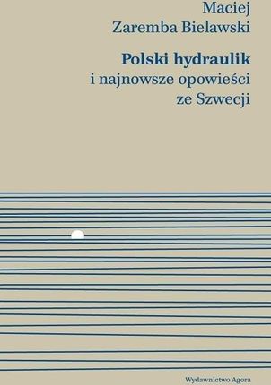 Polski hydraulik i najnowsze opowieści ze Szwecji - Maciej Zaremba-Bielawski