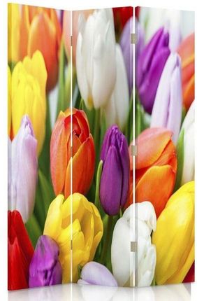 Feeby Parawan Pokojowy Trzyczęściowy Dwustronny Obrotowy Kolorowe Tulipany 110X180 (30467)