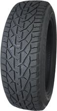 Riken 195/55R16 87T Snow