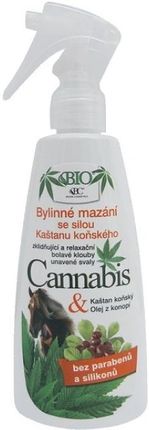 Bione Cosmetics Bio Cannabis maść ziołowa z kasztanowcem 260ml