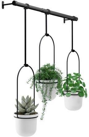 Umbra Kwietnik Triflora (1011748660) - zdjęcie 1 Umbra Kwietnik Triflora (1011748660)
