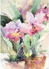 Zdjęcie Davinci Karnet 12X18 Cm B-Bj 202 388 + Koperta Różowa Róża - Siechnice