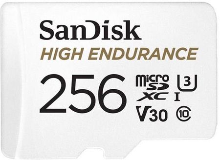 SanDisk microSDXC 256GB High Endurance Class10 (SDSQQNR256GGN6IA)